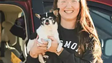 A Comprehensive Review of “The Daily” Dog Supplement