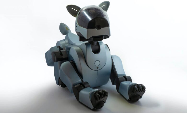 Robotic Dogs: Are They the Future of Pet Companionship? Robotic Dogs: Are They the Future of Pet Companionship?