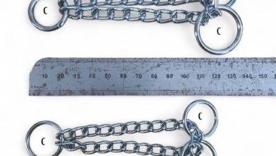 Circle Chains | Martingale Chains | Spec