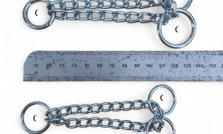 Circle Chains | Martingale Chains | Spec