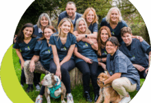 The Growing Demand for In-Home Veterinary Care and Why Families Prefer It. The Growing Demand for In-Home Veterinary Care and Why Families Prefer It.