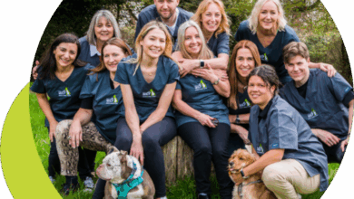 The Growing Demand for In-Home Veterinary Care and Why Families Prefer It.