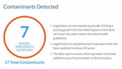 Is Your Dog’s Water Safe?
– 4-Legger