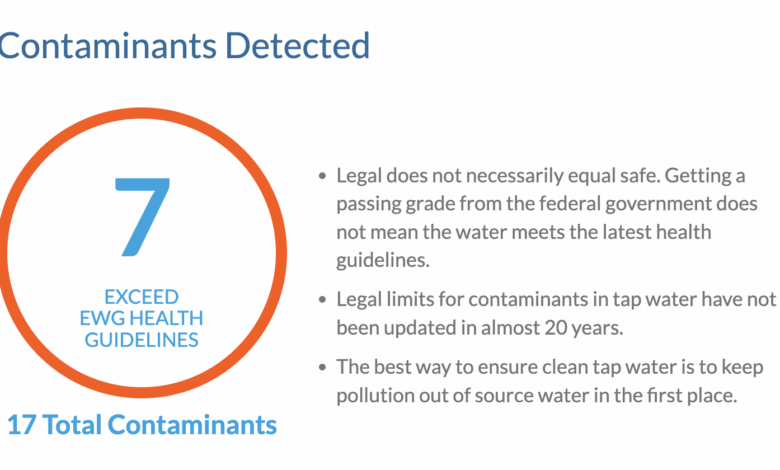 Is Your Dog’s Water Safe?
– 4-Legger