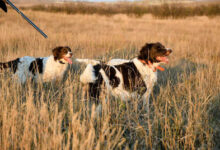 The TGK Blog – MADE for ADVENTURE The TGK Blog – MADE for ADVENTURE