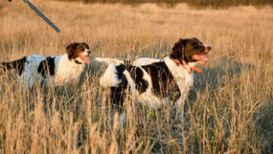 The TGK Blog – MADE for ADVENTURE