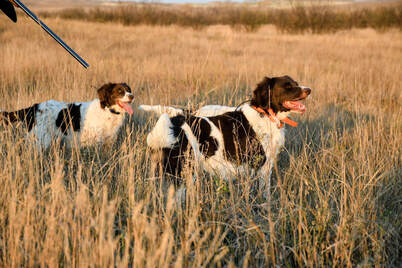 The TGK Blog – MADE for ADVENTURE The TGK Blog – MADE for ADVENTURE