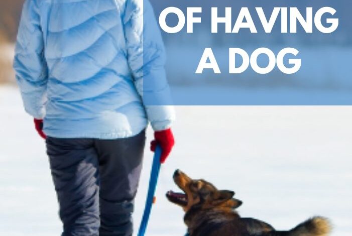 10 Health Benefits of Having a Dog