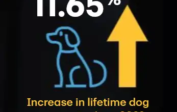 How Much Do Dogs Cost Over a Lifetime ?