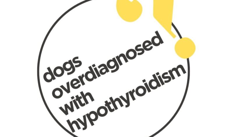 Hypothyroidism in Dogs and False-Positive Tests