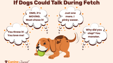 The Secret’s In The Bounce