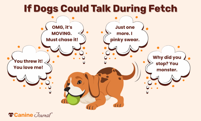 The Secret’s In The Bounce