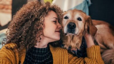 Does Your Dog Feel Safe With You? These Signs Prove It Thinks You’re the Protector