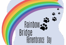 Rainbow Bridge Remembrance Day – My GBGV Life Rainbow Bridge Remembrance Day – My GBGV Life