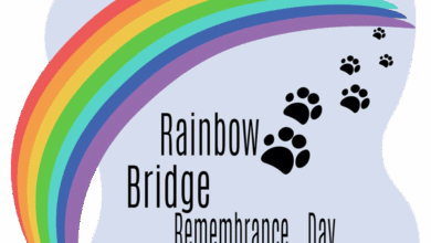 Rainbow Bridge Remembrance Day – My GBGV Life