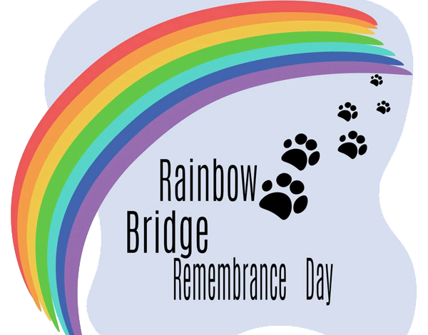 Rainbow Bridge Remembrance Day – My GBGV Life Rainbow Bridge Remembrance Day – My GBGV Life