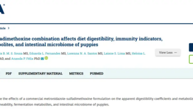 Study into Common Tummy Meds for Puppies
