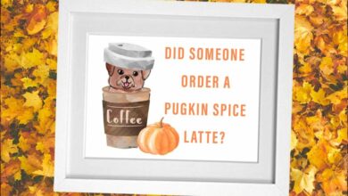 Fall Flavors You Can Share With Your Dog That Aren’t Pumpkin Spice