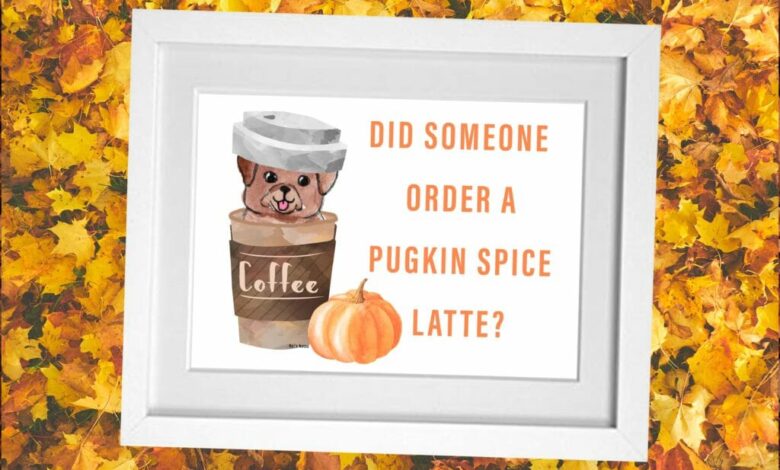 Fall Flavors You Can Share With Your Dog That Aren’t Pumpkin Spice