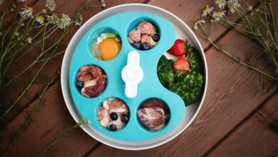 How to Slow Down Your Dog’s Eating