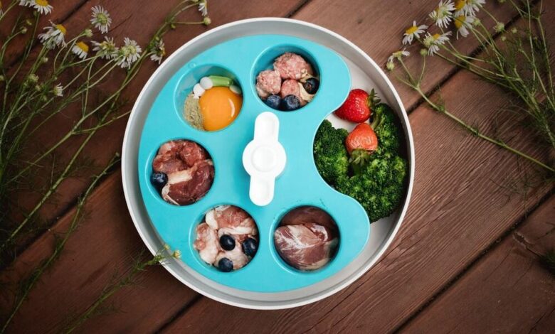 How to Slow Down Your Dog’s Eating