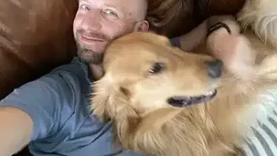 8 Healthy Alternatives To Vet-Prescribed Diets