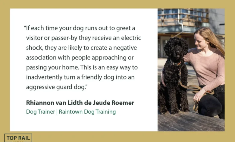 Invisible Fences vs Real Fences – Do They Really Work? 🐾 Little Dog Tips