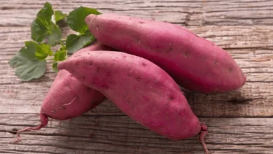 Can Dogs Eat Sweet Potatoes? 7 Amazing Benefits Revealed