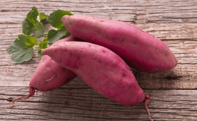 Can Dogs Eat Sweet Potatoes? 7 Amazing Benefits Revealed